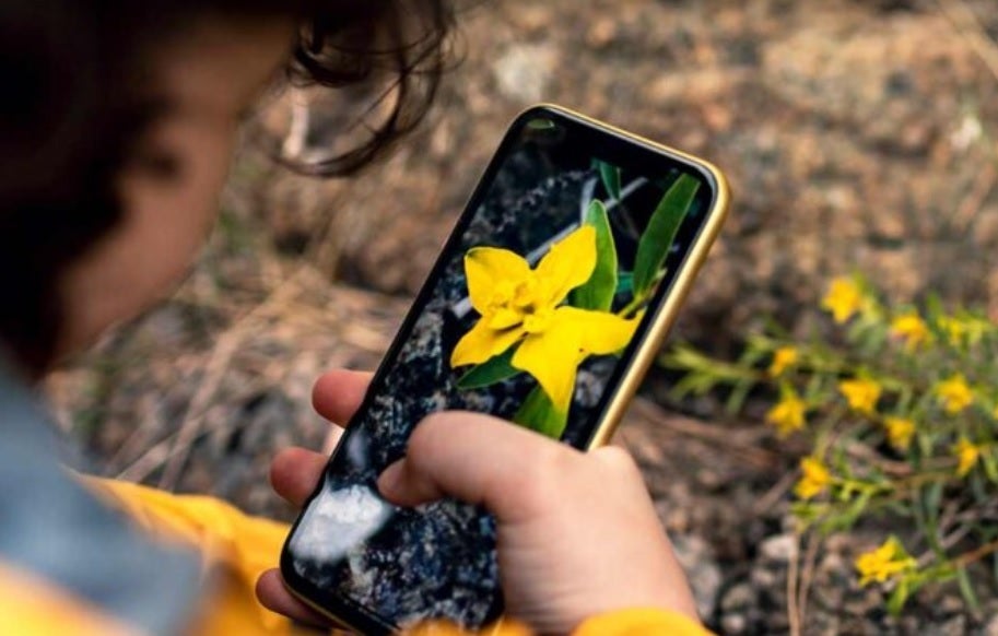 ARM has a new Cortex-X CPU core coming to smartphones in 2025