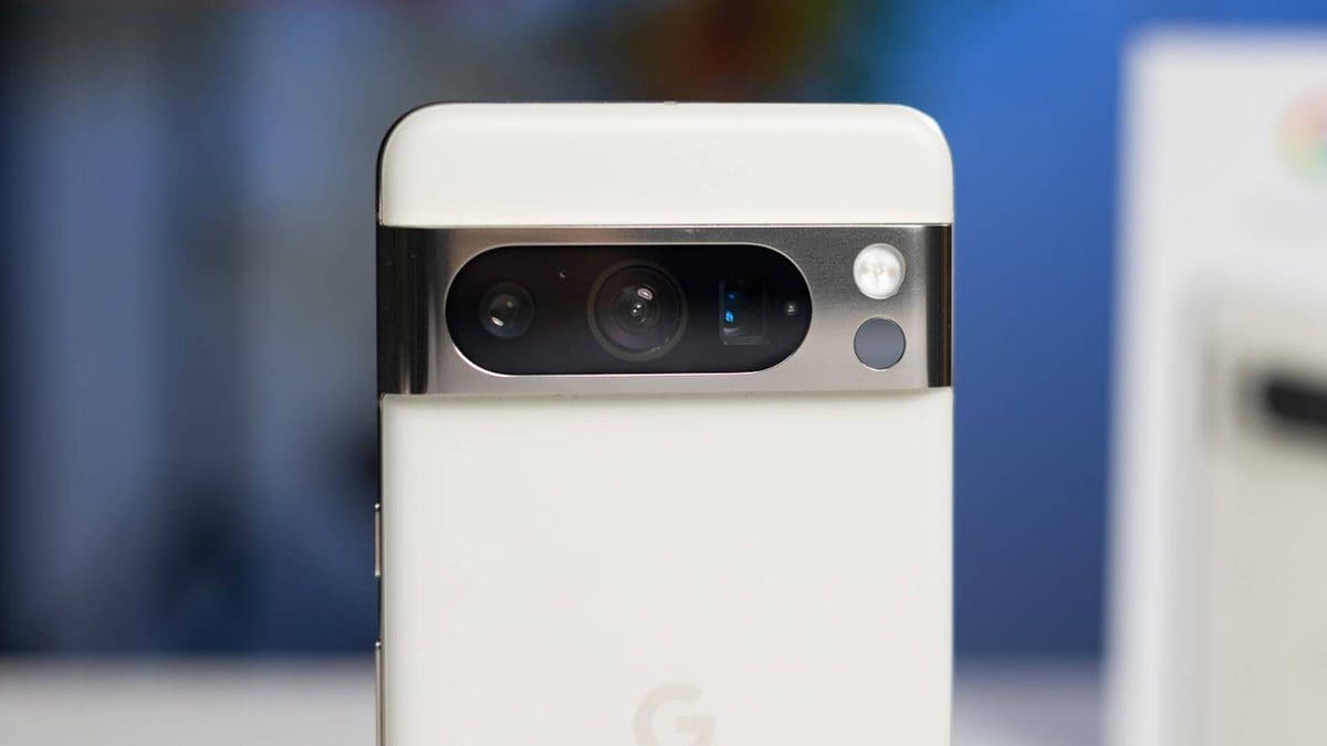 Featured image for Google Offers Free Pixel 8 Pro “Pawtrait” Sessions to Help Shelter Dogs Get Adopted Faster