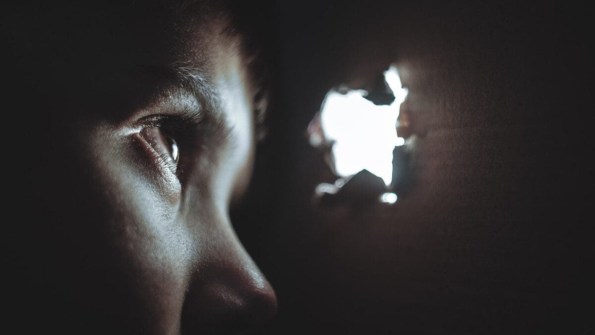 Featured image for Google will notify you and remove your personal data from its search results