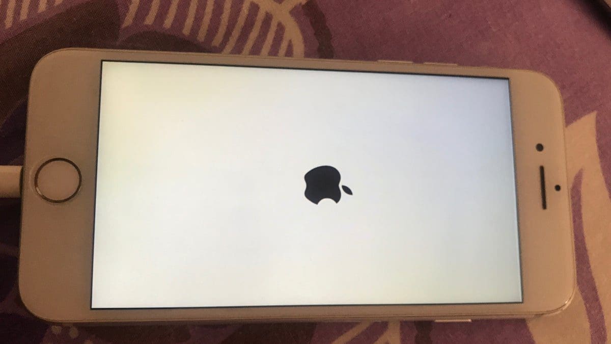 Featured image for Here’s What to Do If Your iPhone or iPad Is Stuck on the Apple Logo