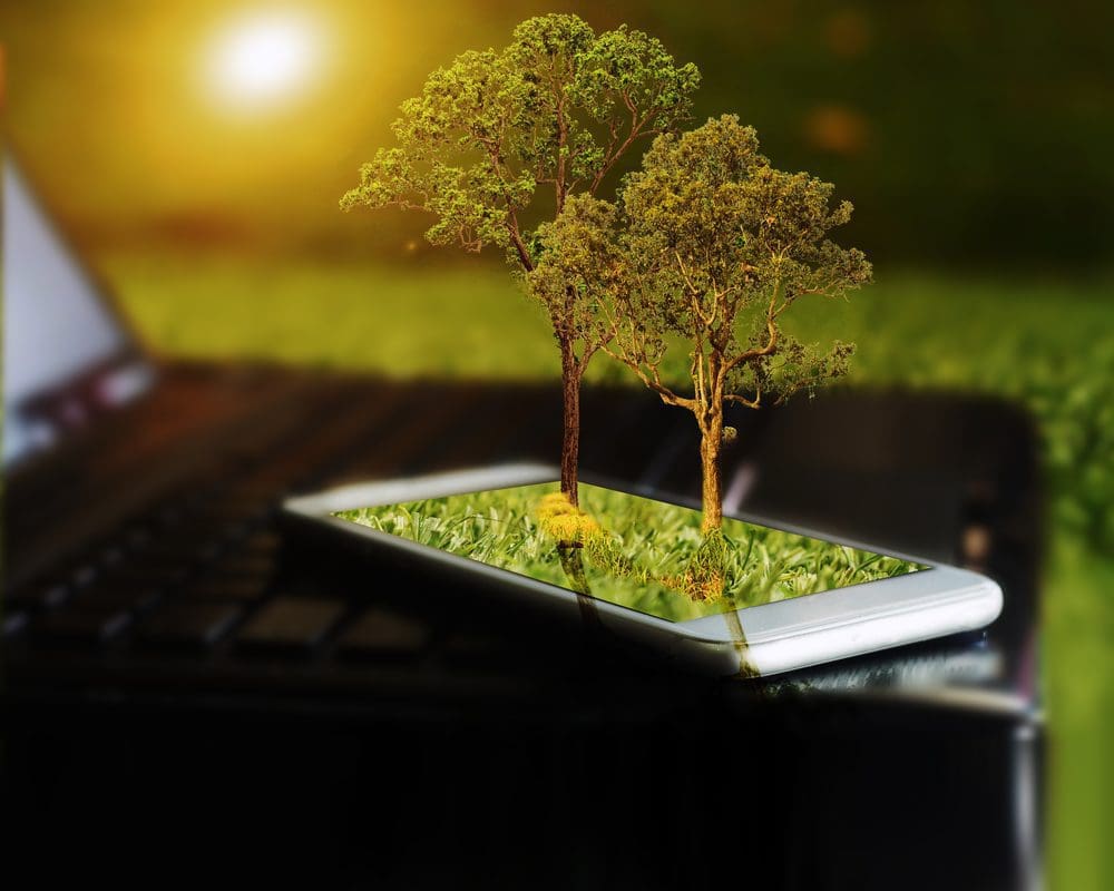Featured image for Tree Planted for Every Device Sold