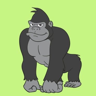 gorilla